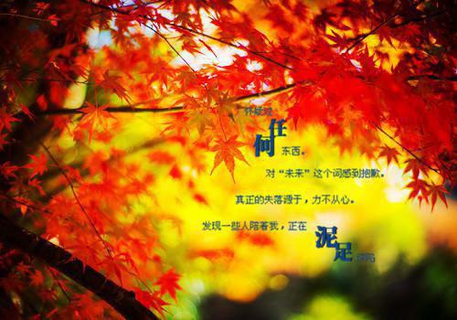 交错的姻缘免费小说沈美景宋凉臣全章节阅读