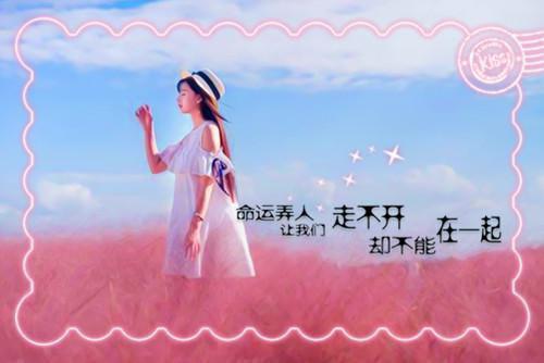 小说师弟你矜持点白致顾乐之全文免费阅读