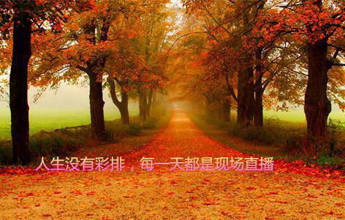 替嫁傻妻大叔轻得宠提莫提莫在线阅读-替嫁傻妻大叔轻得宠全文免费阅读