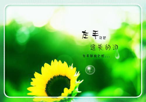 全文小说顾总，夫人马甲又掉了目录免费阅读