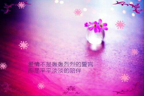 丑女也能被宠上天小说完整版资源免费试读