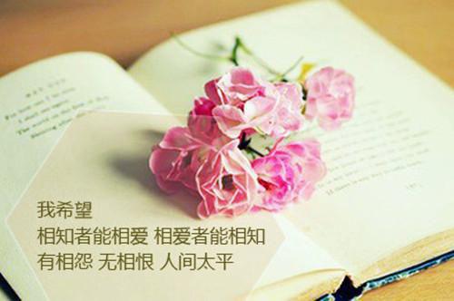 爱情彼岸小说 主角是霍君衍苏时念全文阅读