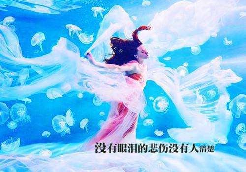 高手下山我的无敌未婚妻小说赵璇韩风无广告阅读