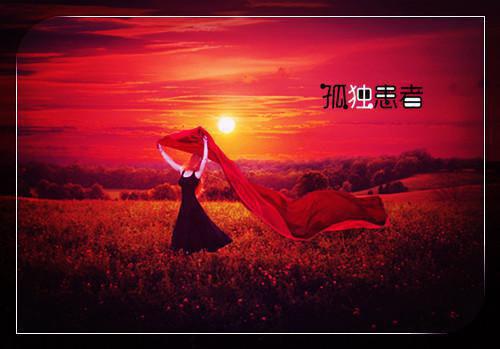 甘为倾城醉红颜精彩小说(加州)全章节阅读