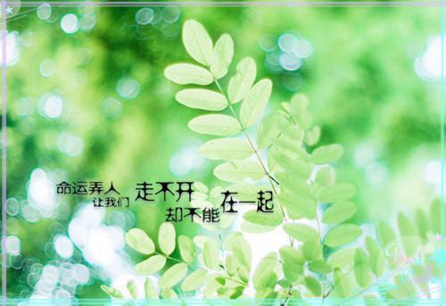 池少前妻太难追施慈全本小说最新阅读