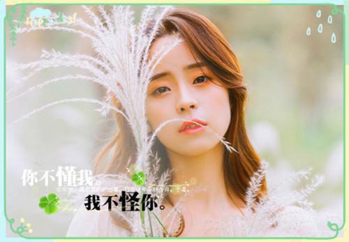 凌妙言楚辛廷小说 凌妙言楚辛廷全文阅读