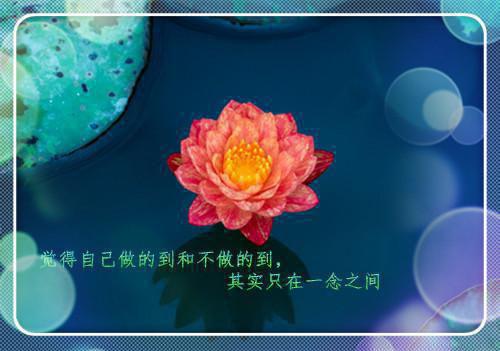 悲伤在爱你时微微情觅大结局小说全章节阅读