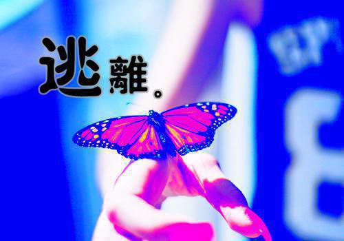 88991641许思彤陆东辰 88991641小说全文阅读