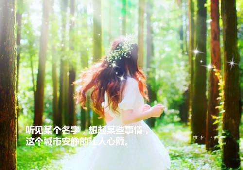 一不小心成为武林高手全文阅读_苏凡小说免费试读