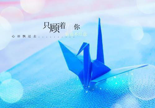 隐婚蜜宠亿老公有点飘小说殷熙研白昊轩全书阅读