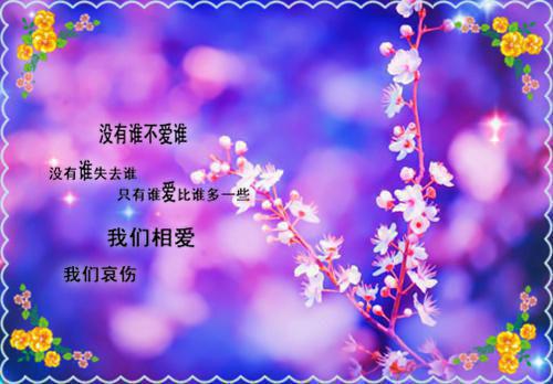 新上《程潇潇沈承庭抖音》半生烟小说免费阅读