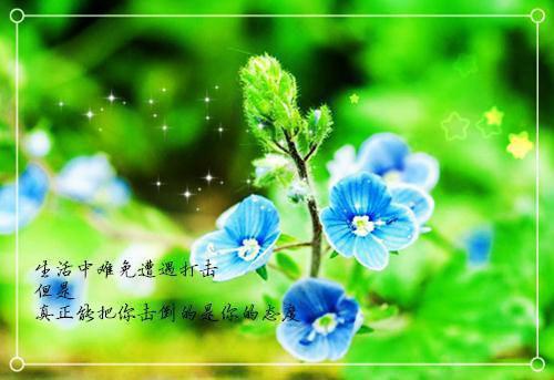 农女翻身绝色小娇娘「免费小说」廖秋菊江腾最新章节阅读