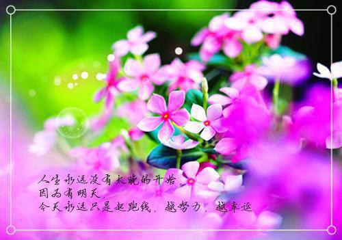 我的七个绝世师姐by气质流氓在线阅读