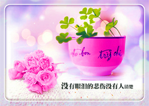 全章节小说帝都小巷中的小餐馆李鸿天最新阅读