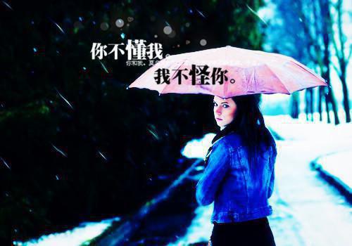 写仙人球的作文