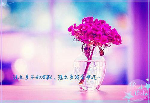 春风也笑我多情小说(连载中)慕南意霍城谨目录阅读