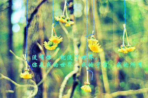 养一条刀鱼给自己