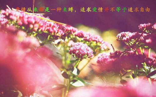 武医神术叶辰小说作者土土无弹窗阅读