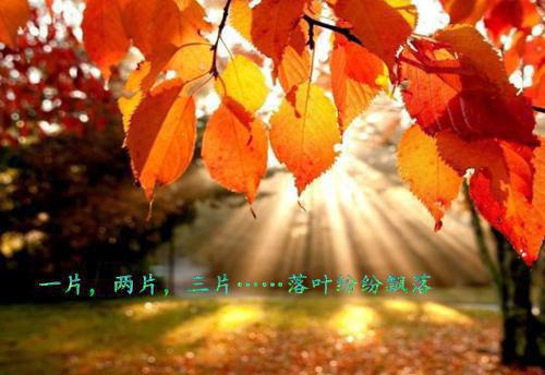 农家福宝：身娇体不弱：全文+后续+大结局唐晚楚瑾陌全文免费阅读（农家福宝：身娇体不弱：全文+后续+大结局）全文免费唐晚楚瑾陌阅读无弹窗大结局_心的第七次颤动：全文+后续+大结局小说农家福宝：身娇体不弱最新章节列表（唐晚楚瑾陌）