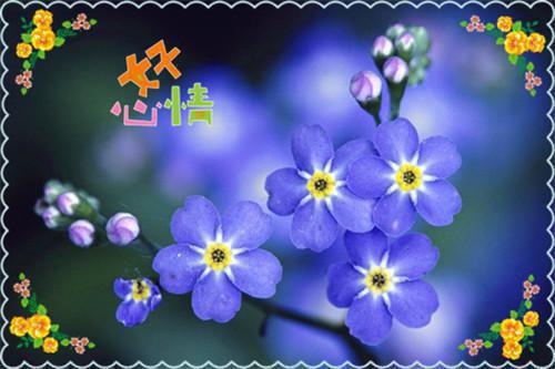 我品尝到了成功的喜悦作文300字
