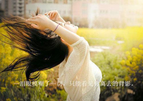 描写夏雨的作文