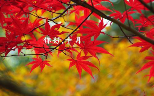 关于em的优美句子