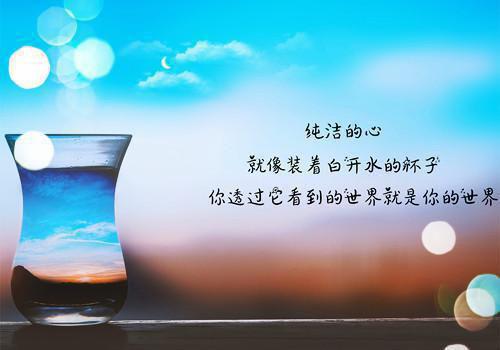 单扉光沈迎雪（重生八零女军长幸福完脱靶了）免费全文阅读小说_重生八零女军长幸福完脱靶了最新章节列表（单扉光沈迎雪）