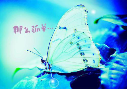 误入魔掌：结婚100天阮念薇薄骞北完结版全章节阅读