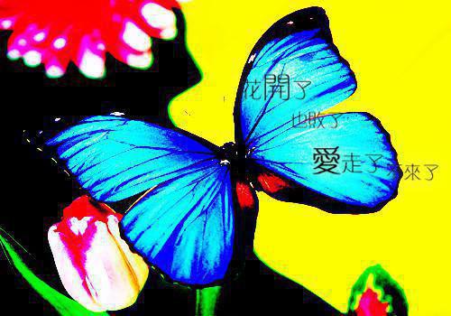 惨死后，恶毒妹妹重回农家小院小说全文佚名免费阅读