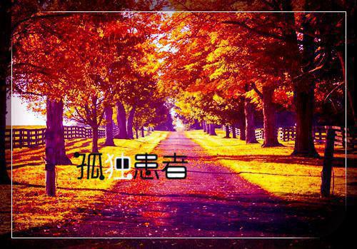 长木雨风写的小说不娶何撩小说全文阅读