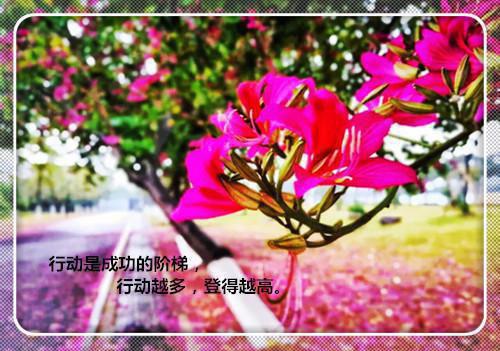一胎双凤老婆大人太嚣张萧念微梁邵景全文阅读 作者微澜子墨