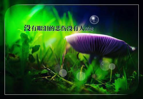 好看的娱乐：开局一场广场舞，我震惊世界小说_娱乐：开局一场广场舞，我震惊世界最新章节阅读
