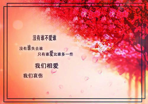 灵魂拼图小说(顾瑾顾瑜)章节目录+起始篇章（灵魂拼图）全章无套路在线