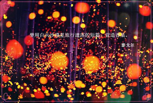奈何五十陆离小说清辰无删减阅读
