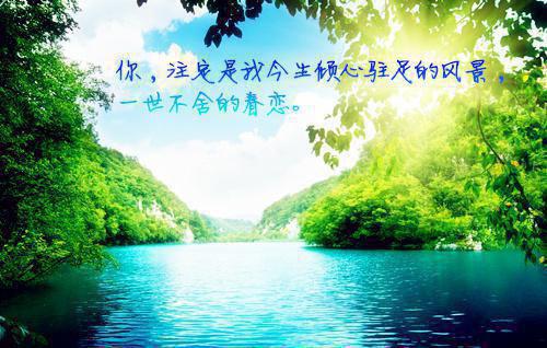 医妃重生要复仇精彩小说(晴天天)全章节阅读