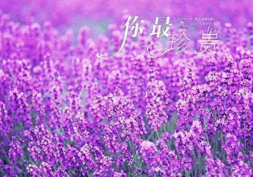 小说故人西辞君不知第5章精选阅读