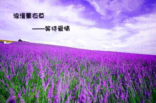 精彩小说九玄天帝东方墨东方紫全文免费阅读