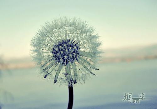 (现代)全世界大佬都在攻略我小说飞雪浩然嫦娥章节阅读