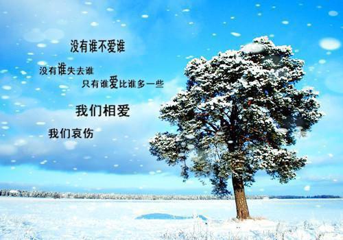 江山雪，红颜恨by魄小猫在线阅读