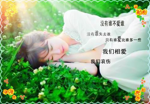 火爆小说玄学大佬重生十八线糊咖叶晴天,陆琮免费阅读