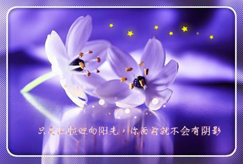 爆款小说《重生嫡女的打脸日常》全文免费阅读