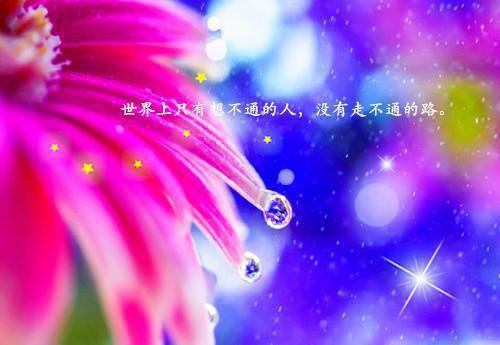 2经典的句子