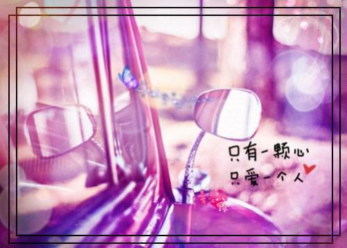 全章节小说惹火小辣妻：上司，好闷骚宋兮兮最新阅读