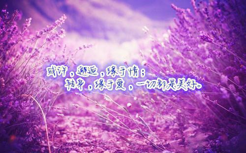 都市重生奶爸苏尘小说陈伽蓝苏希言无删减阅读