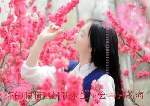 帝师为救女儿昏迷小说连载好文叶凡何思凝无广告阅读