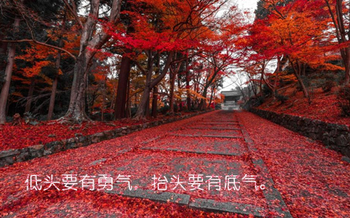 精忠报国免费小说131313全文阅读