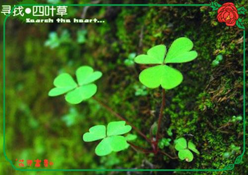 无敌轮回仙尊热门小说（陆尘天心梦）全文阅读