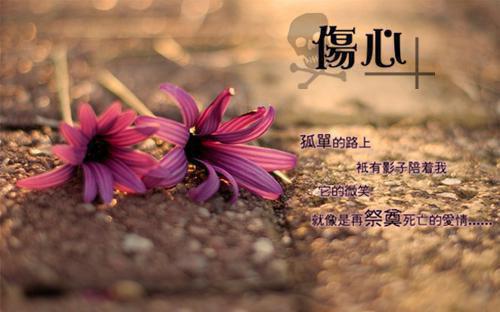 重生1995财富之巅(逆袭)小说秦驰沈冰凌无弹窗阅读