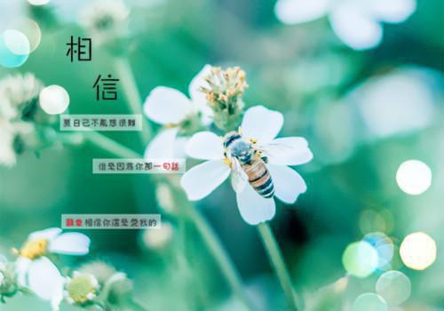 新书一世豪情大佬的掌中妻陈漠苏星晴小说在线阅读