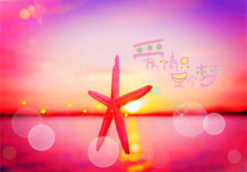 满朝奸臣从傀儡到千古一帝小说夏赢海大富最新章节阅读